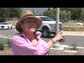 050124 DUAL 5PM PKG SB ROUNDABOUT DRIVER REAX Q