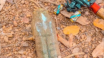 Đi Câu Cá Lóc Bãi Tự Nhiên | 3 Anh Em Siêu Nhân | Trúng Lớn Với 4 Hugo