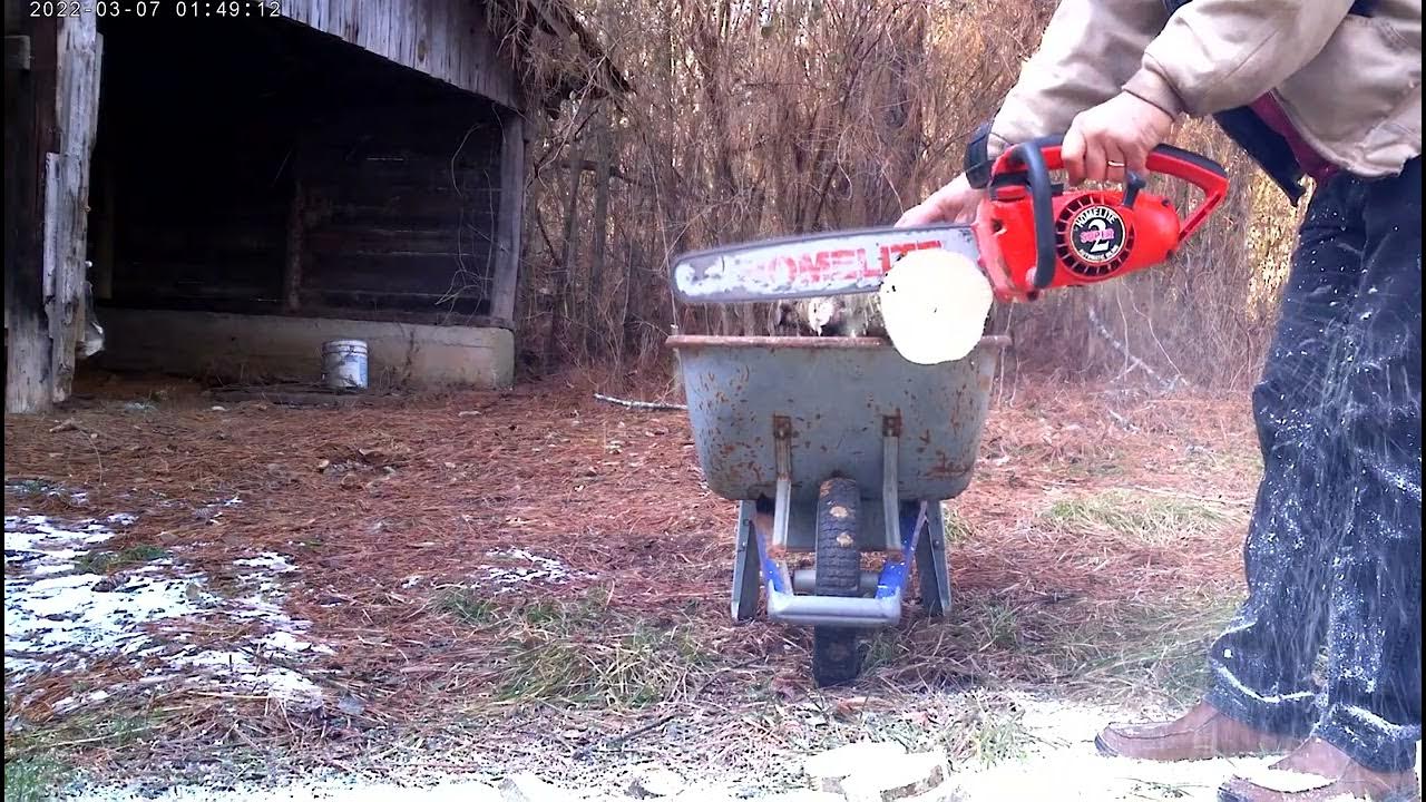 Chainsaw Face Off Stihl 193T VS Homelite Super 2 YouTube