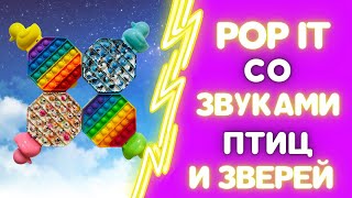 POPIT СО ЗВУКАМИ ЖИВОТНЫХ И ПТИЦ