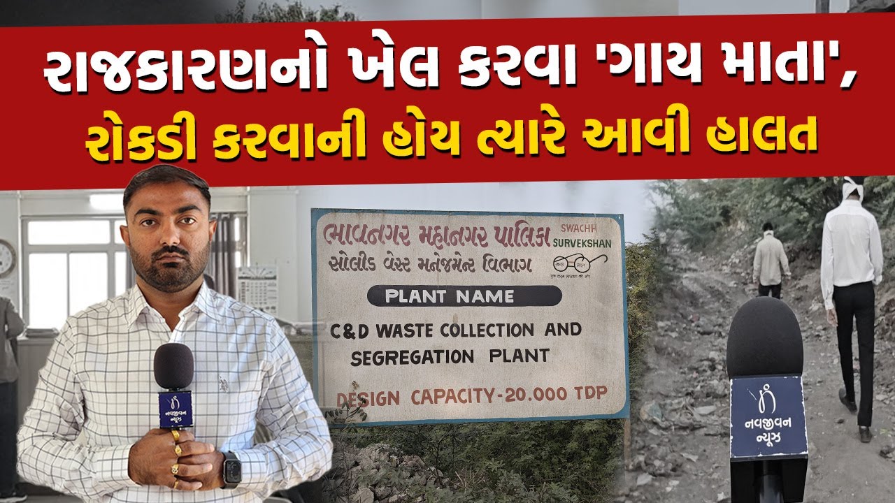 Bhavnagar ના પશુ પ્રેમીઓમાં રોષઃ સત્તાધીશોના પાપે ગાયો ગમે ત્યાં ફેંકી દેવાય છે | Gujarati News |