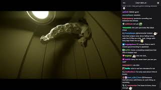 Vinny - Pools Chapter 0 [WITH CHAT]
