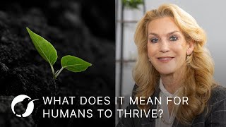 What Does it Mean for Humans to Thrive? | Psychologist Dr. Pam King | Purposeful Lab S4 Ep2