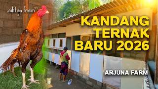 UPDATE KANDANG BARU ARJUNA FARM SUPER MEWAH