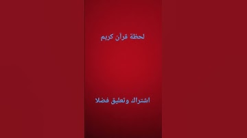 قرآن كريم #القزابري #abdulbasit #لايك #المصحف #islamicpreacher #ترند #islamicscholar #اكسبلور #آيات
