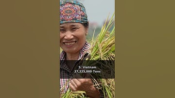 Top 5 Biggest Rice Producers in the World: A Comprehensive Overview #shorts #rice #food