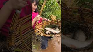 Simple Village Trick Catches Huge Fish After Rain! 🐠 😳 #shortsvideo