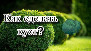 Как сделать куст в пони тауне? Pony Town