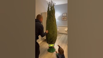 Remove the Net From the Christmas Tree 😯❤️