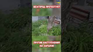 Белгород. Новости. Горят автомобили в городе. Причина? #прикол #белгород #война #приколы #россия