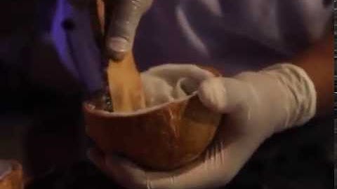 Ren Koh Samui’s Night Beach Bazaar