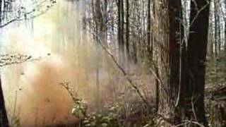 1.2lb High Explosive Rifle target cutting down a tree