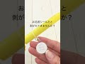 通販 入園入学準備 傘 お名前シールは剥がれてしまう #Shorts