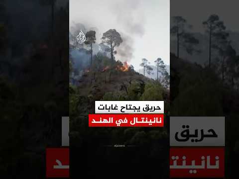 حريق يجتاح غابات نانينتال في الهند