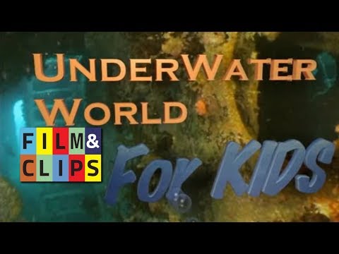 UNDERWATER WORLD FOR KIDS EP 13
