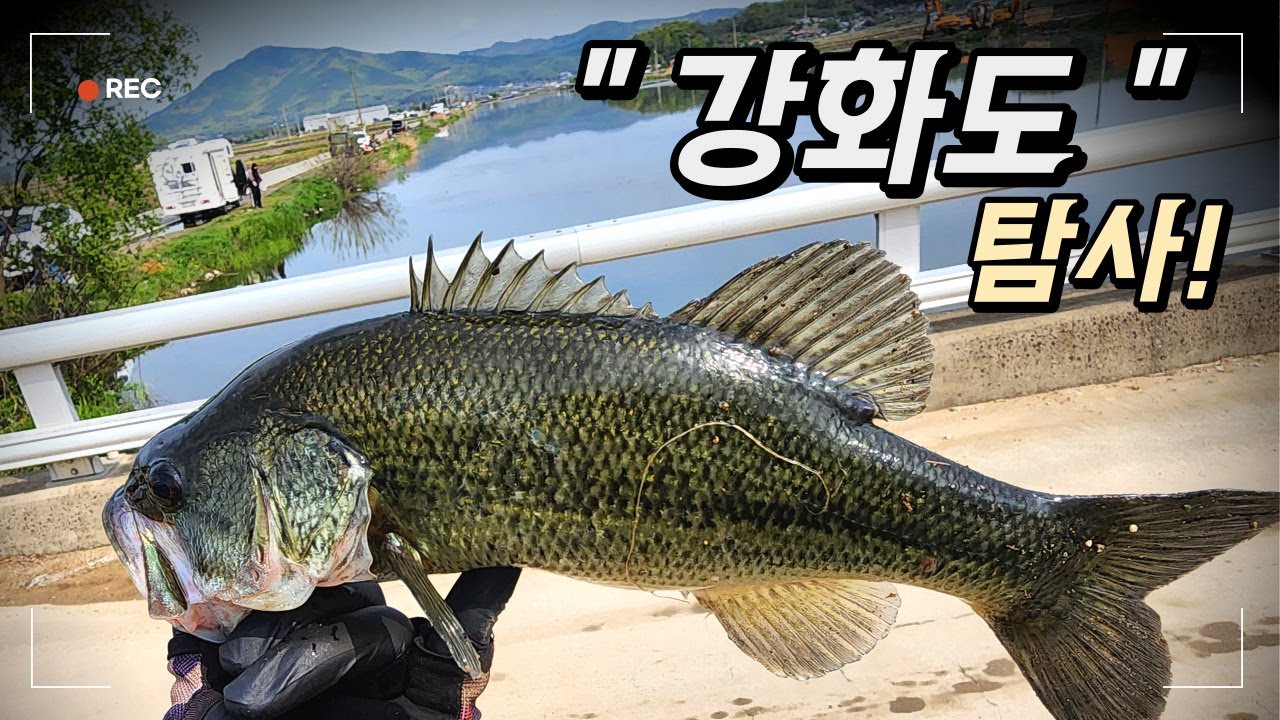 배린이들의 배스 낚시 이야기 - EP024 - 