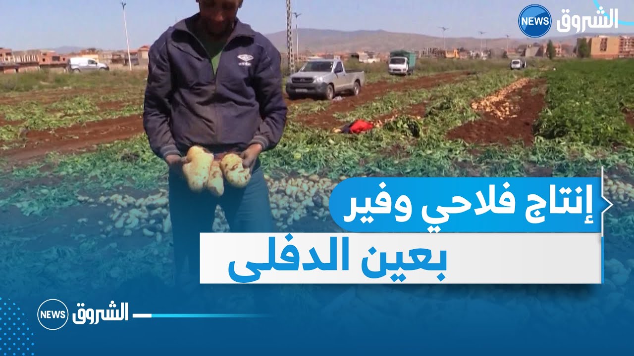 قطاع الفلاحة بعين الدفلى يشهد نموا كبيرا في الانتاج خلال السنة