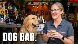 Dog Bar in St. Petersburg We Had to See It