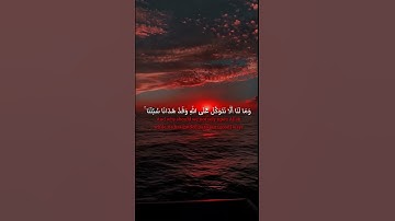 أكتب شيئ تؤجر عليه #سورة_إبراهيم #ياسر_الدوسري #القرآن_الكريم #قرآن_كريم #قرآن #أكسبلور #fypシ゚
