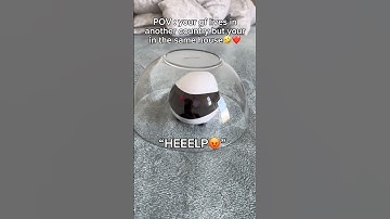 She’s such a drama queen😭 #couple #robot #longdistance