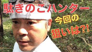 【きのこ採取】大黒シメジ、アオロウジ、キンチャフウセンタケ、アミタケ順調です