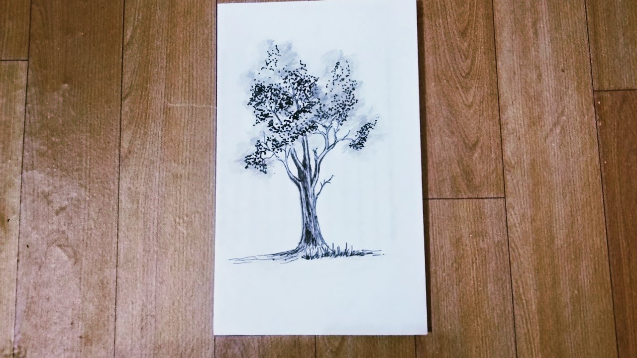 gambar pohon yang sangat mudah menggunakan cara pensil 