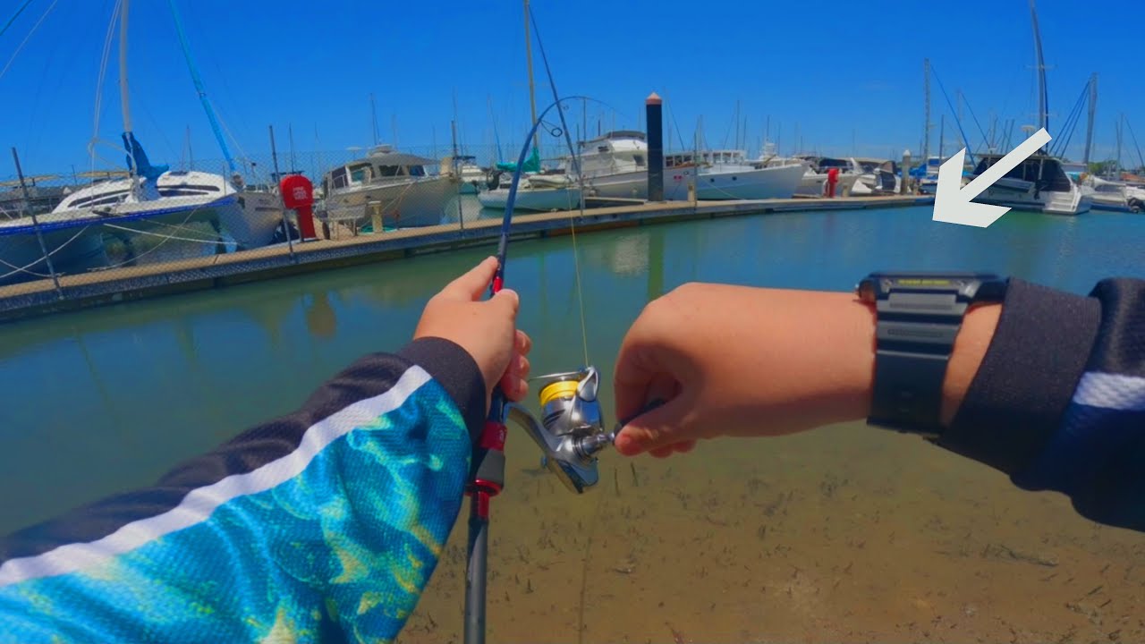 Fishing For BIG Fish In Manly Marina !?!?