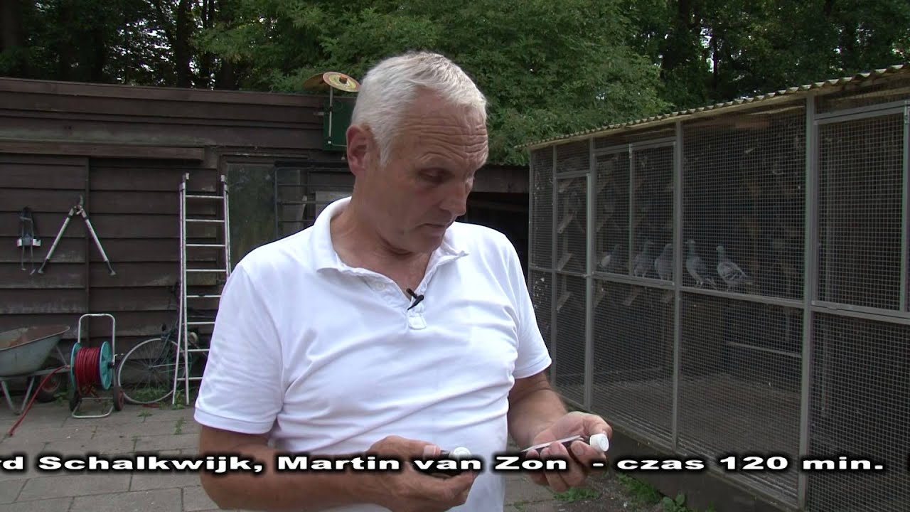 Martin van Zon - Holandia