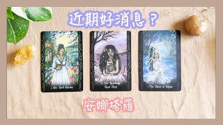 安娜塔羅❤️此刻老天爺要給你的好消息？需要療癒的課題？人生新展開？（前有書籍介紹）