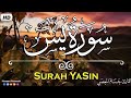 سورة يس تلاوة هادئة راحة للقلب والعقل صوت جميل جدا وراحة نفسية القارئ حسام المعصبي