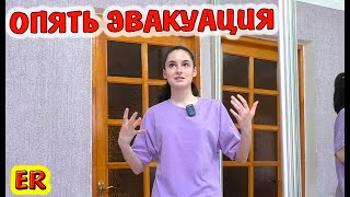 Эвакуация в школе / Мебельщики не отдают заказ / Распаковка и конкурс Любимый Василек / Easy Rose