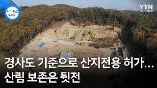경사도 기준으로 산지전용 허가...산림 보존은 뒷전 / YTN 사이언스