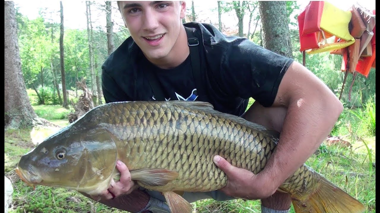 Arguably the MOST FUN fish to catch!