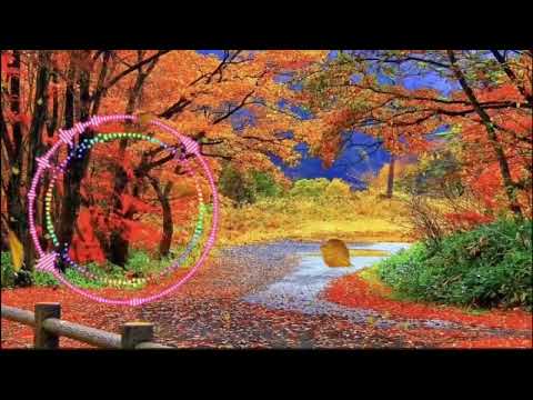 The beauty of the world is intertwined with you 世界美好與你環環相扣(動態旋律循環)