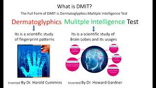 What is DMIT Test? Dermatoglyphics Multiple Intelligence Test| Dmit software screenshot 2