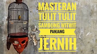 MASTERAN PLECI TEMBAKAN TULIT TULIT SAMBUNG WITWIT PANJANG JERNIH