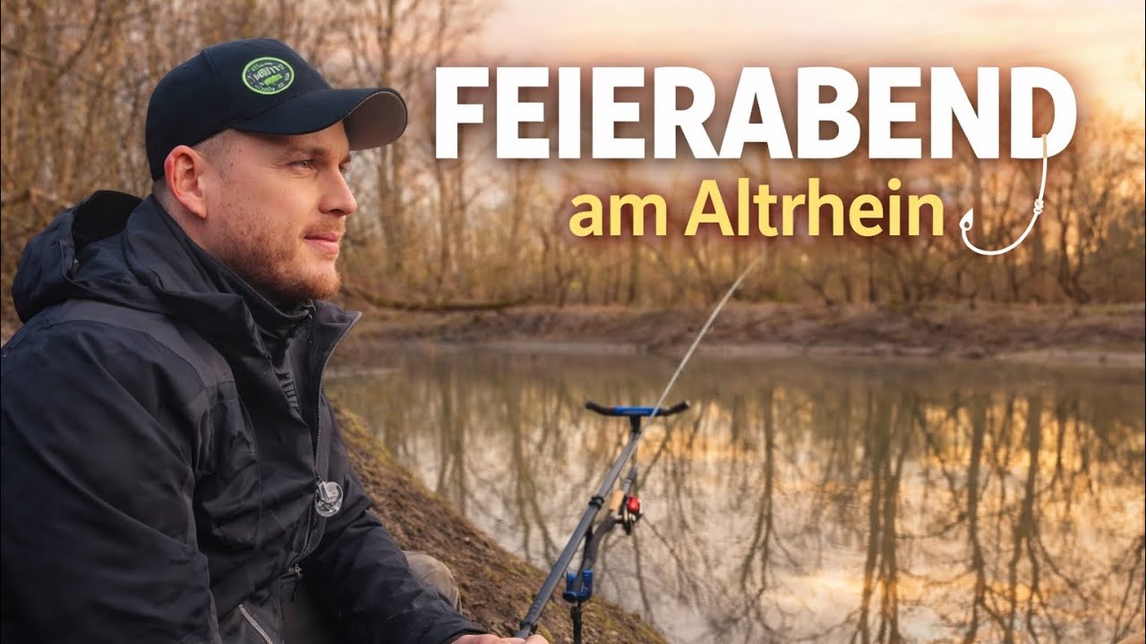 Feierabend am Rhein 🎣 Steigender Pegel & trübes Wasser im Altrhein