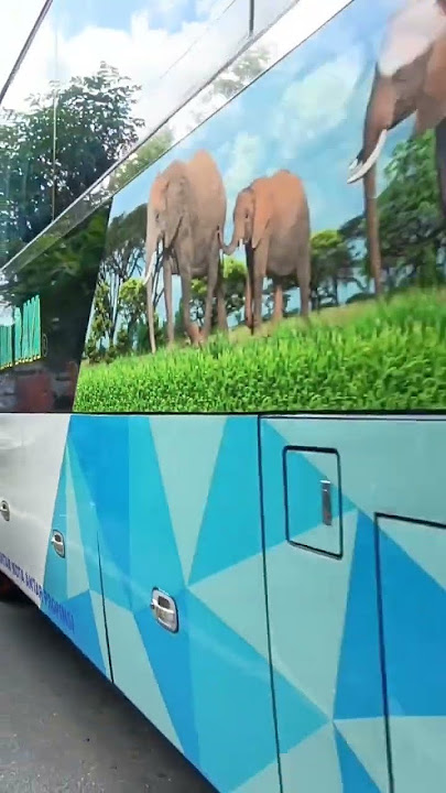 BUS LEGENDARIS SAFARI DHARMA RAYA ( OBL) #fypシ #fyp #busviral #bus