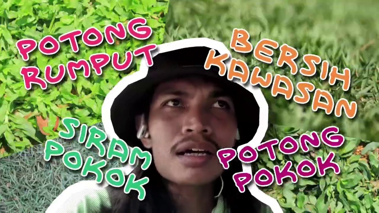  Rumput  Yang  Di  Tanam Banyak Rumput  Liar  YouTube