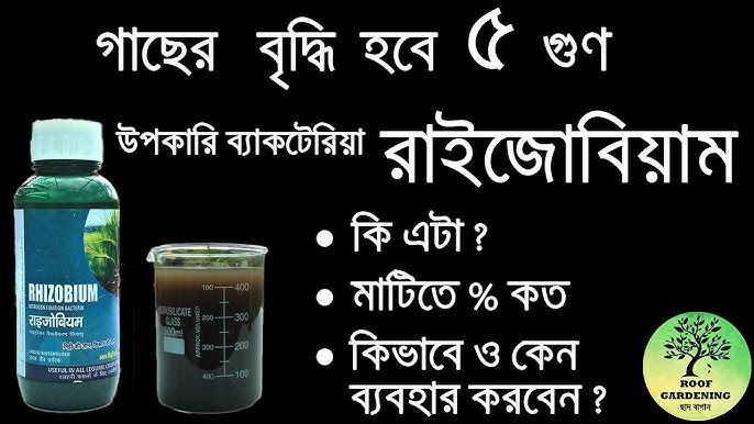 Yakkaxon yubka va paypoqda Qasoskorlar porno filmini onlayn tomosha qiling