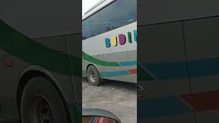 Bus Cepat Melintas