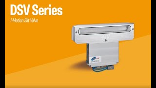 DSV Series (I-Motion Slit Valve)