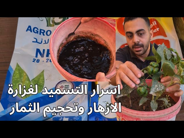 اسمدة سحرية لتزهير غزير و وثمار كبير في الخضروات والفاكهة 🥬🥭
