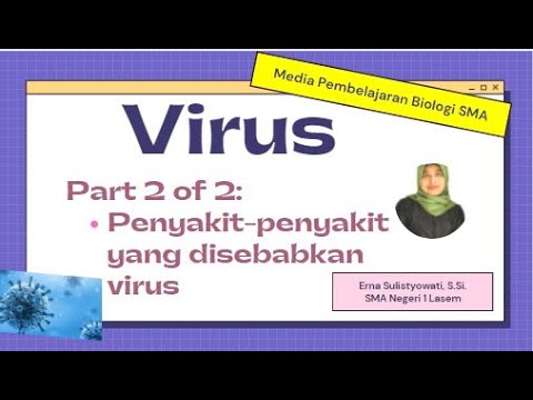 Virus part 2 of 2 Penyakit-Penyakit yang disebabkan virus