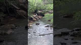 Bridge over Borden Creek 💦
