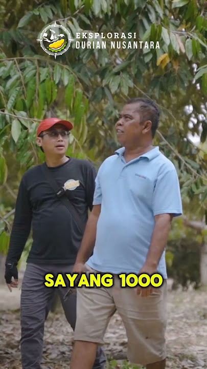 Part 28 - Eksplorasi Durian Nusantara Parigi Moutong, Perjuangan Bertani Bli Ketut Kari