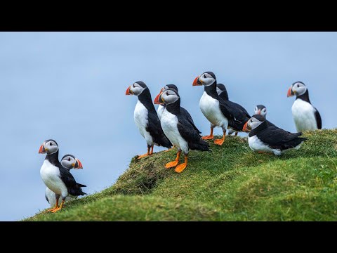 Faroe Islands -