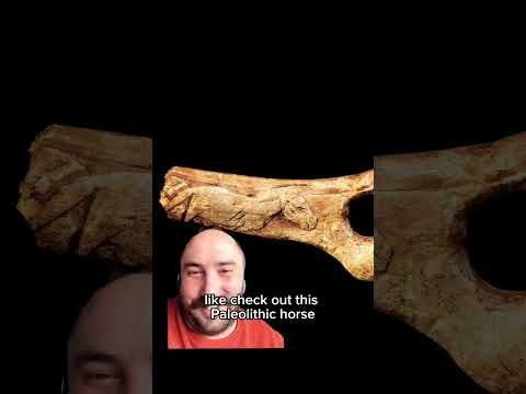A true paleolithic
