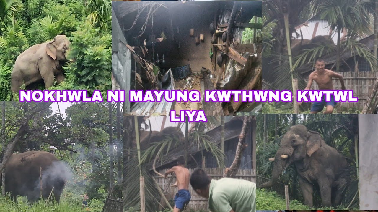 RAMKRISHNA PUR KAMIO MAYUNG KWTHWNG KAMIO HABWI NOK SWBAI KHA DILIP DB NI