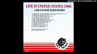 13th Floor Elevators Live in USA 1966, 03 You Don't Know